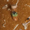 Butelka obserwacyjna dinozaury JURASSIC